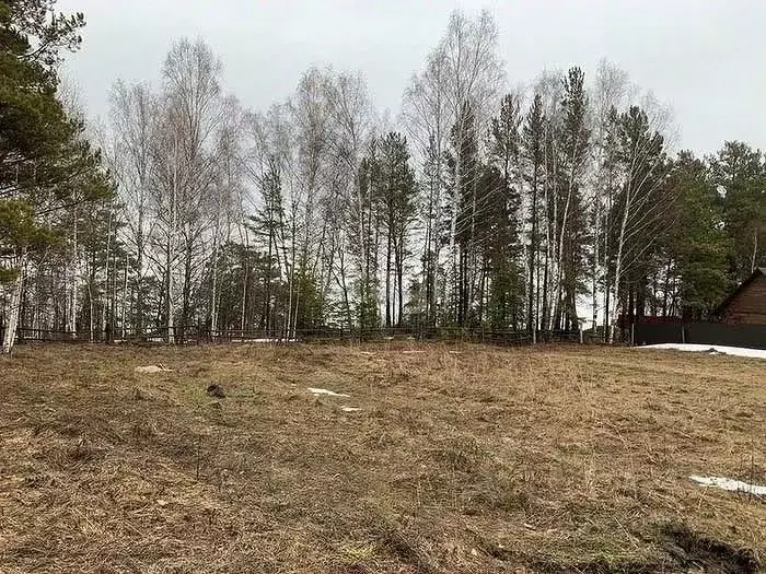 Участок в Томская область, Томский район, с. Курлек Трактовая ул. ... - Фото 0