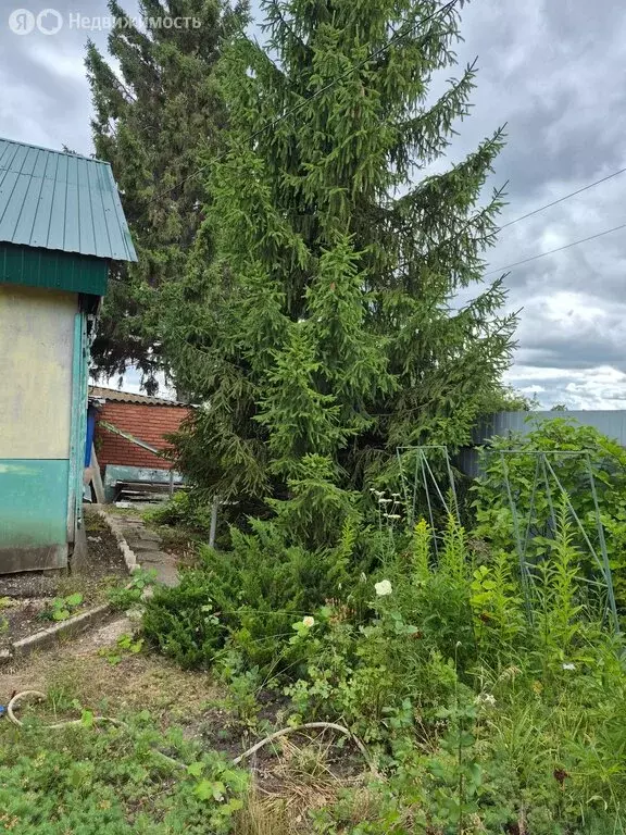 Дом в Сызранский район, городское поселение Междуреченск, СНТ 25 лет ... - Фото 2