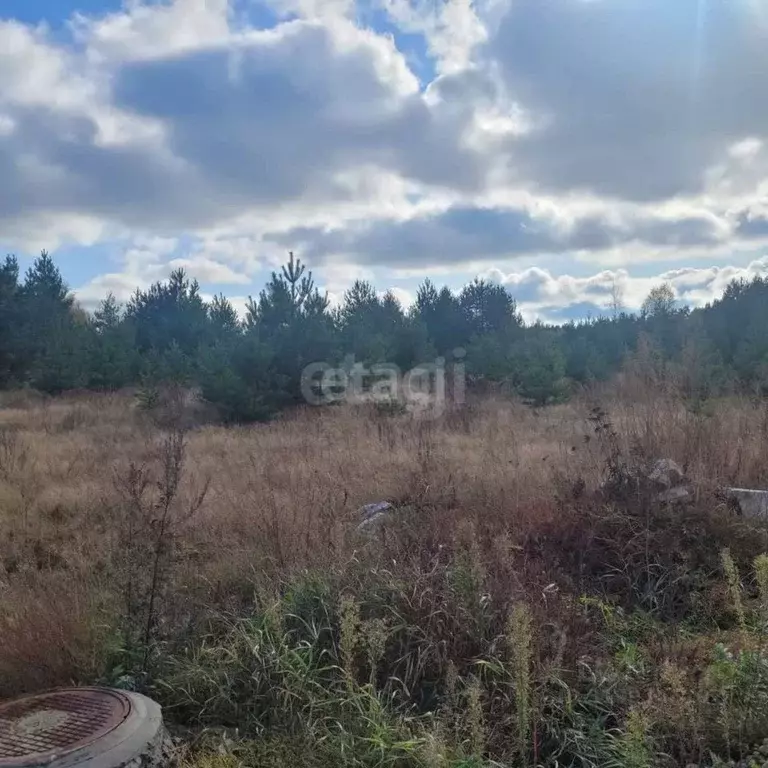 Участок в Владимирская область, Муром с. Ковардицы, ул. Рублевская ... - Фото 1