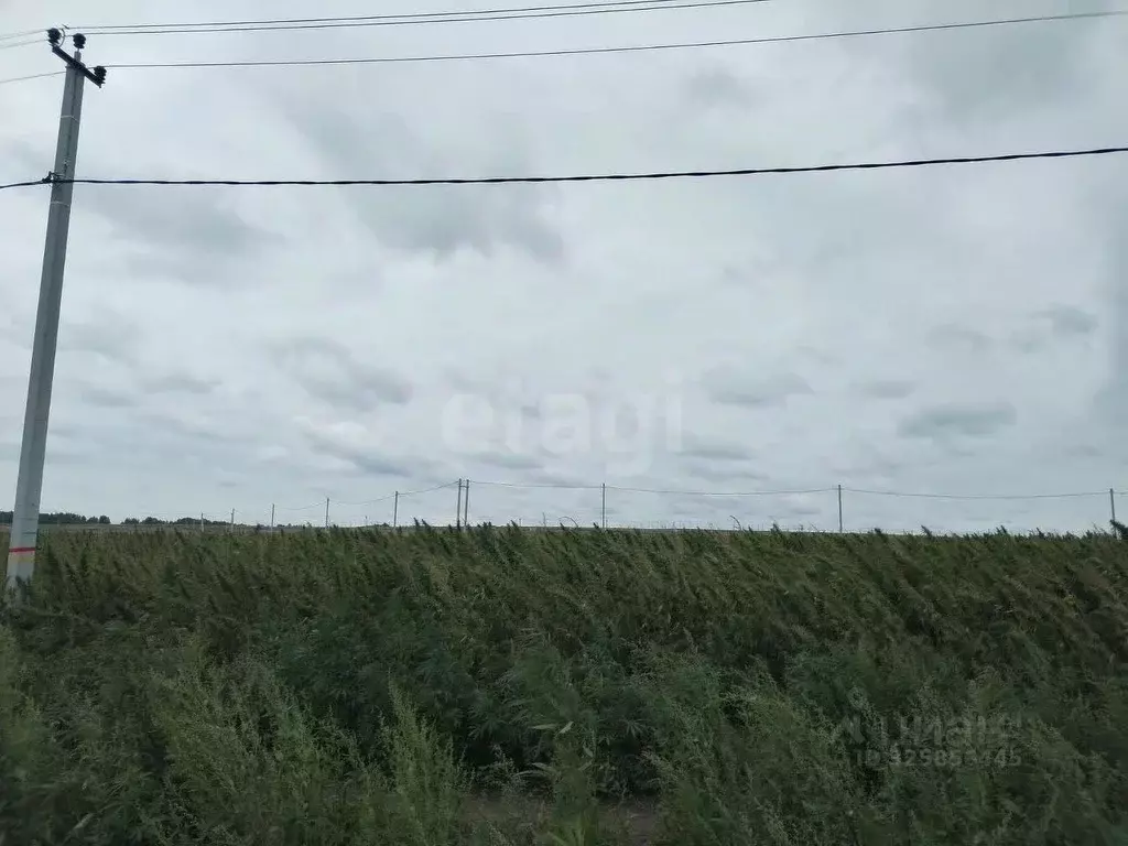 Участок в Тюменская область, Тюменский муниципальный округ, ... - Фото 1