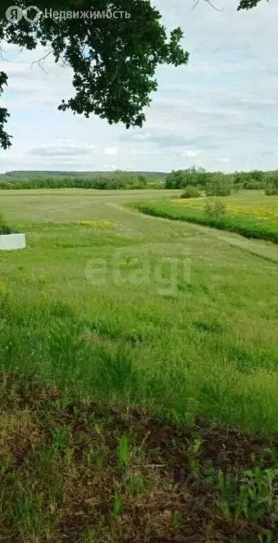 Участок в Пермский муниципальный округ, посёлок Красный Восход (894 м) - Фото 2