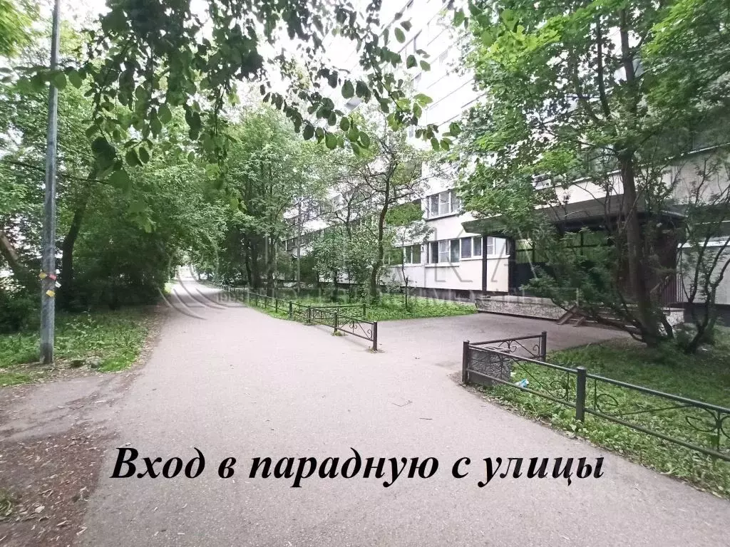 1-к кв. Санкт-Петербург Наличная ул., 34 (32.09 м) - Фото 2