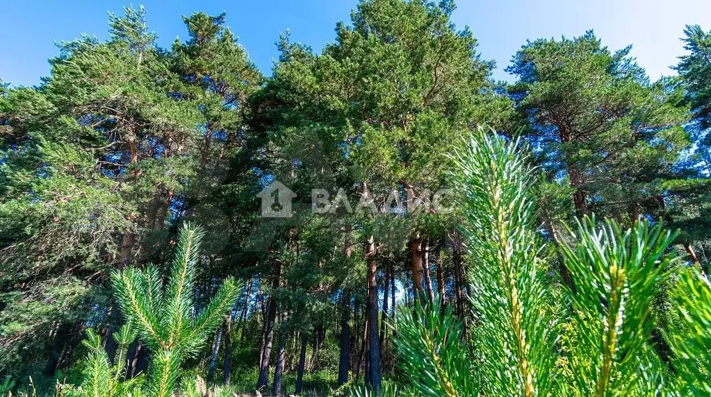 Участок 9,8 сот. (СНТ, ДНП) - Фото 0