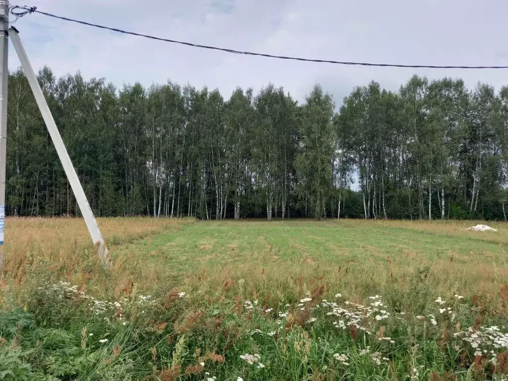 Участок в Московская область, Дмитровский городской округ, д. Ивашево  ... - Фото 0