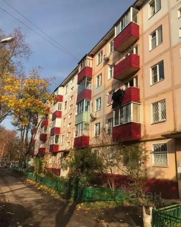 1-к кв. Московская область, Чехов ул. Мира, 10 (31.0 м) - Фото 1