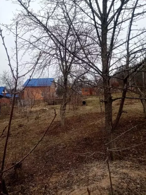 Участок в Самарская область, Жигулевск городской округ, с. Солнечная ... - Фото 1
