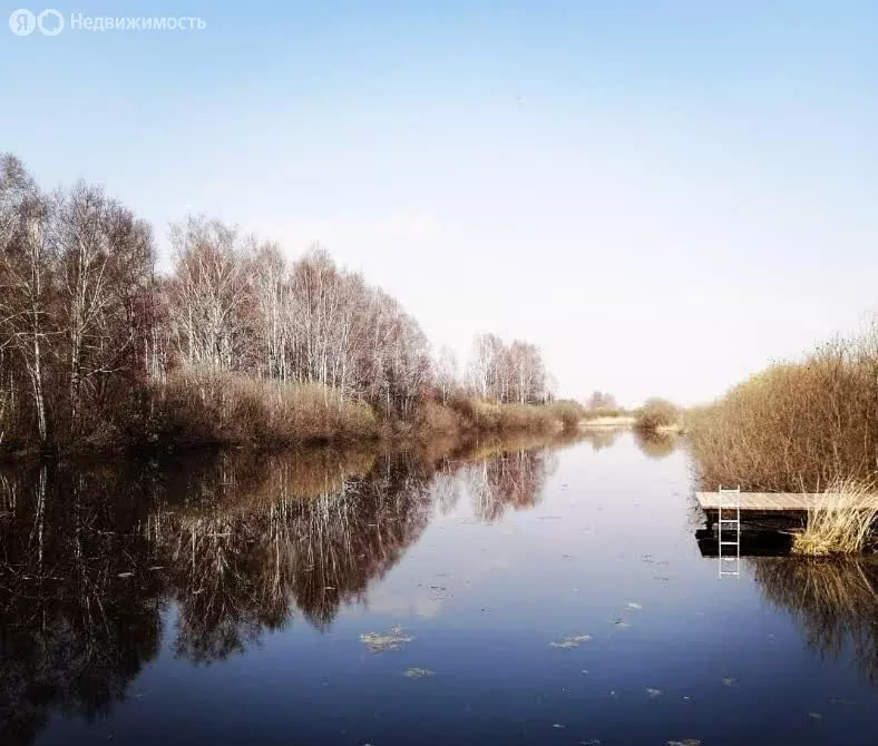 Участок в Колыванский район, товарищество собственников недвижимости ... - Фото 2