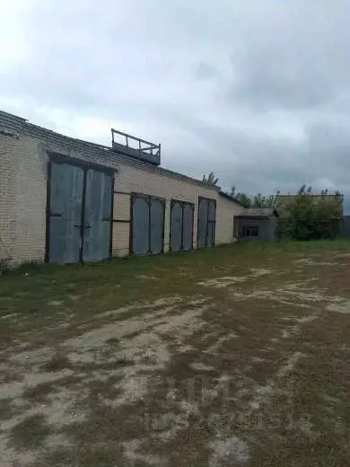 Офис в Ульяновская область, Радищевский район, Дмитриевское с/пос, с. ... - Фото 2