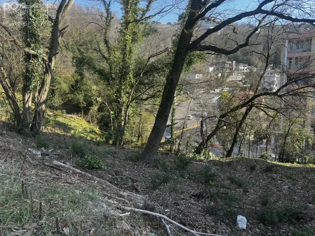 Участок в Сочи, Сухумское шоссе (7 м) - Фото 1