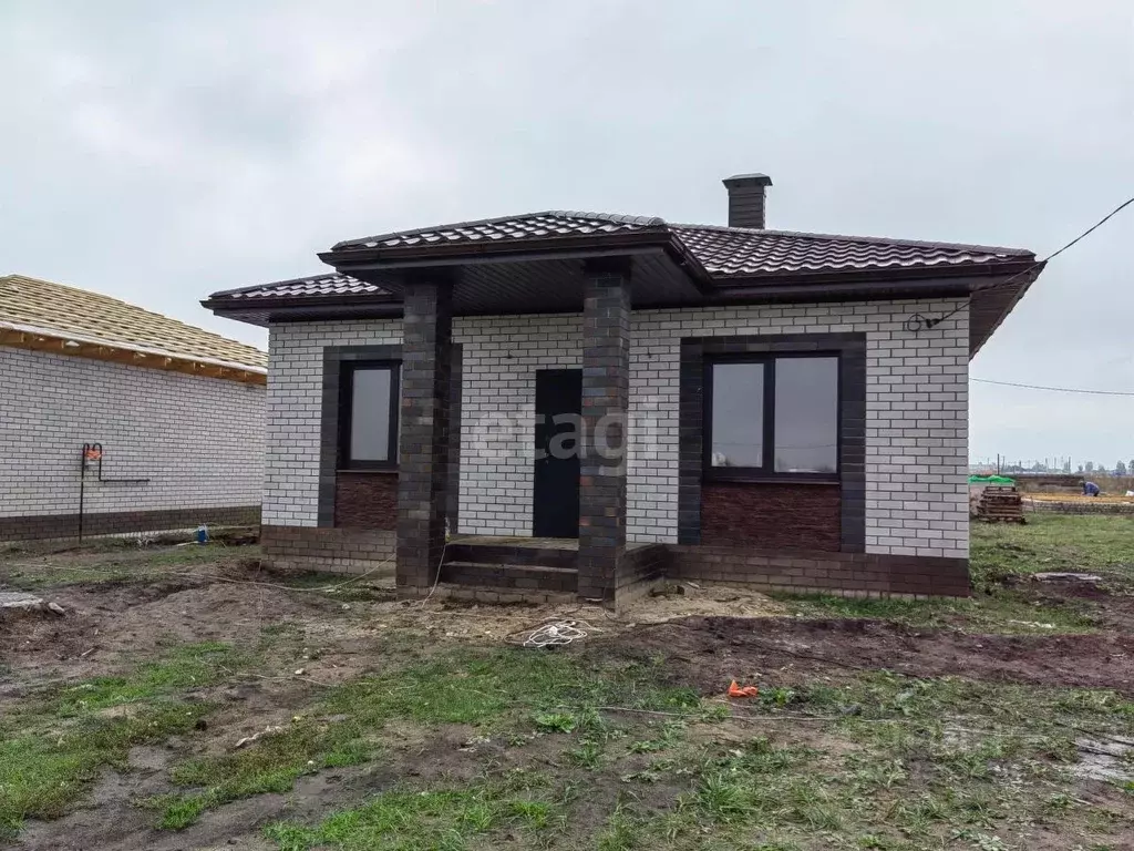 Дома в александровке новоусманского. Дом в Александровке Михновка.