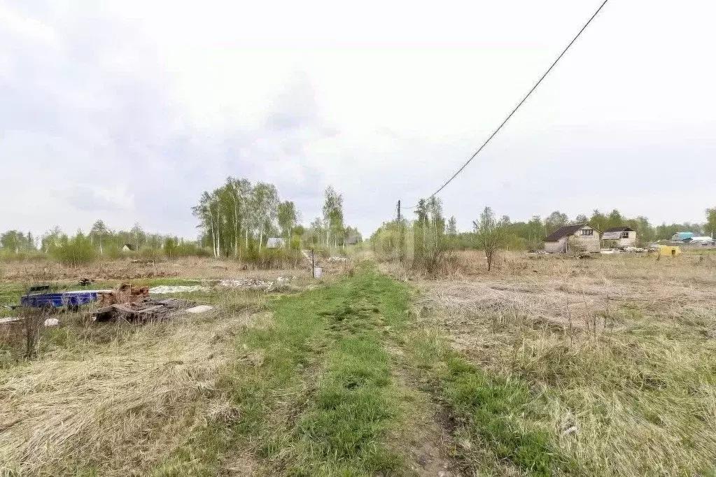 Участок в Тюменская область, Нижнетавдинский район, Сочинские СНТ 33-я ... - Фото 2