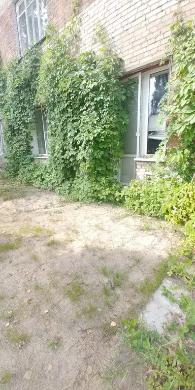 3-к. квартира, 69,5 м, 1/3 эт. - Фото 0