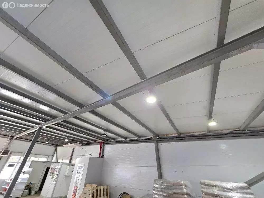 Торговая площадь (170 м) - Фото 1