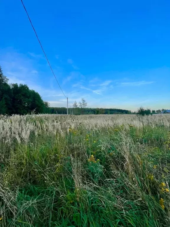 Участок в Калужская область, Перемышльский район, Большие Козлы с/пос, ... - Фото 2