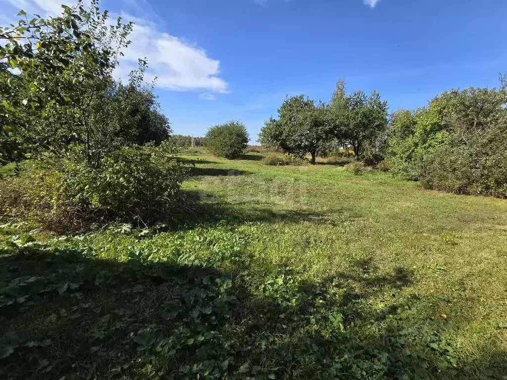 Участок в Брянская область, Брянский район, Мичуринское с/пос, ... - Фото 2