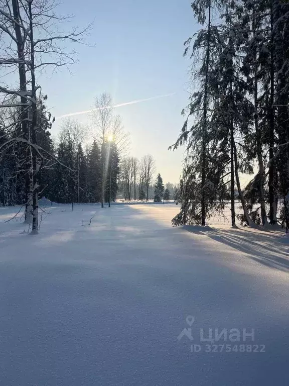 Участок в Московская область, Истра муниципальный округ, д. Дубровское ... - Фото 1