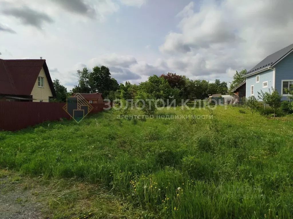 Участок в Московская область, Дмитровский муниципальный округ, д. ... - Фото 1