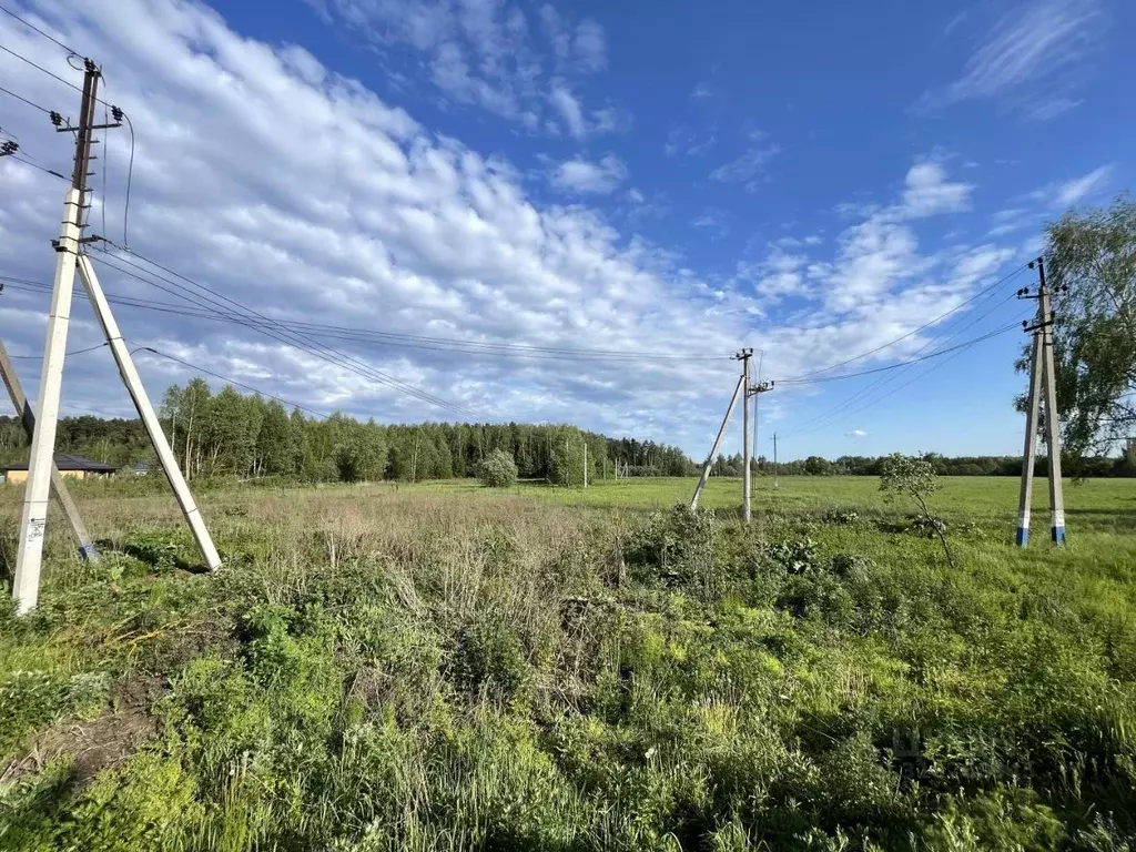 Участок в Московская область, Щелково городской округ, Волхов СНТ  ... - Фото 0