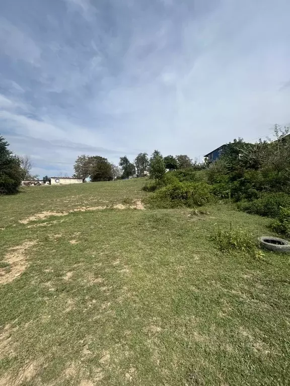 Участок в Краснодарский край, Сочи городской округ, с. Вардане-Верино  ... - Фото 2