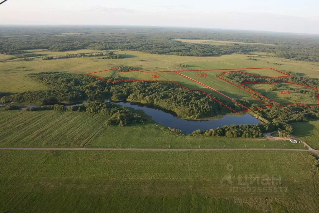 Участок в Смоленская область, Гагаринский муниципальный округ, ... - Фото 2