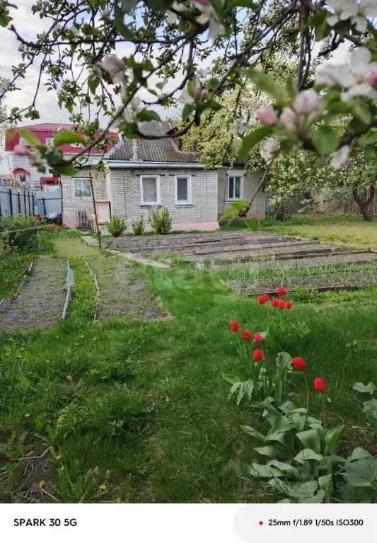 Участок в Брянская область, Брянск Кромская ул. (7.8 сот.) - Фото 1