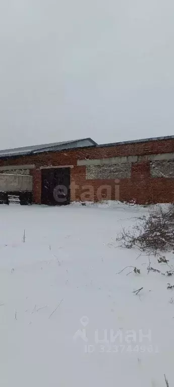 Гараж в Алтайский край, Первомайский район, с. Березовка ул. 40 лет ... - Фото 0