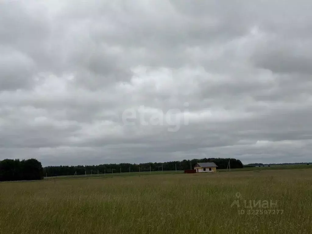 Участок в Тюменская область, Тюменский муниципальный округ, ... - Фото 0