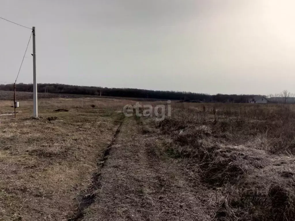 Участок в Белгородская область, Губкин Северо-Западный мкр,  (15.0 ... - Фото 1