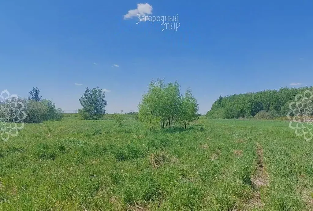 Участок в Московская область, Богородский городской округ, д. Старые ... - Фото 1