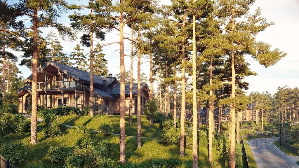 Участок в Ленинградская область, Всеволожский район, Куйвозовское ... - Фото 2