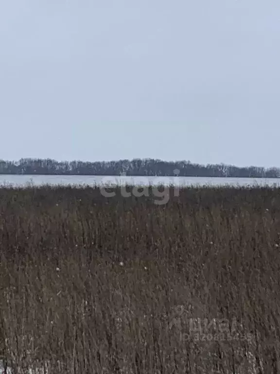 Участок в Белгородская область, Белгородский район, Головинское с/пос, ... - Фото 1