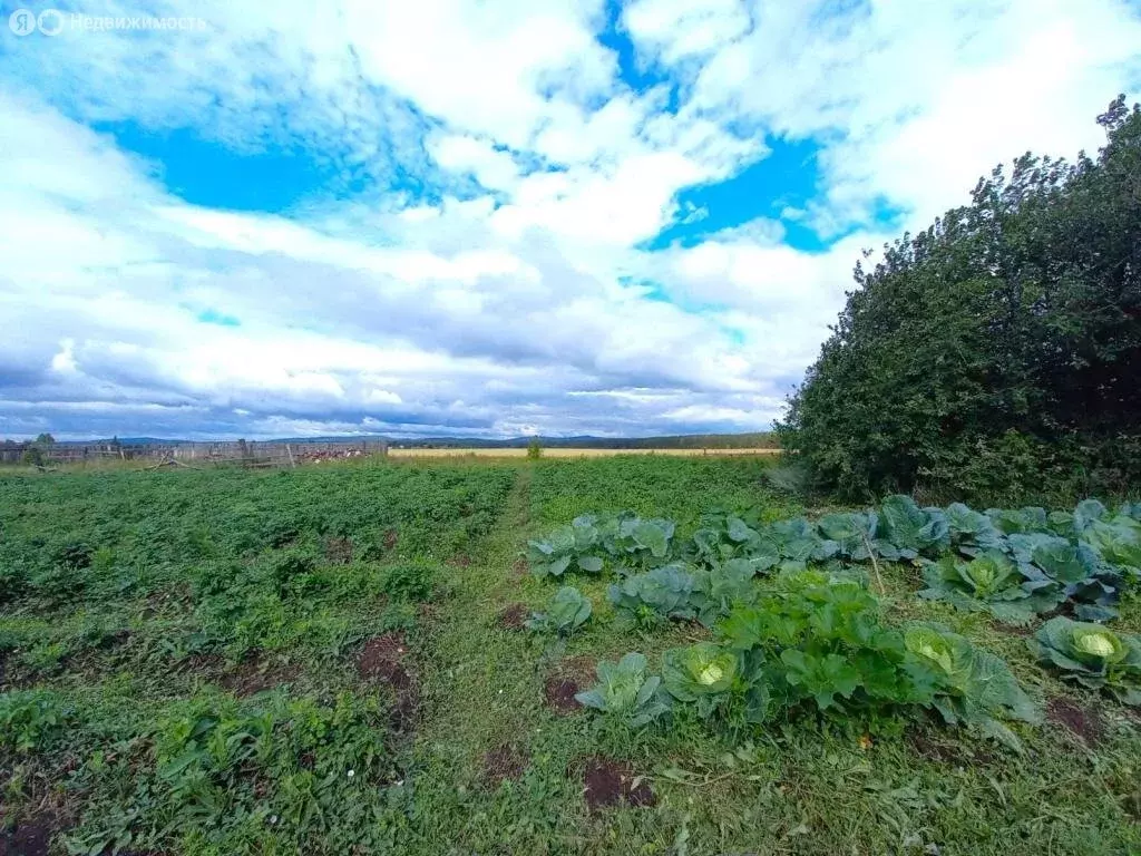 1 300 000 Руб., Участок в село Щелкун, улица Власова (19 м), Купить  земельный участок Щелкун, Сысертский район, ID объекта - 20007352948