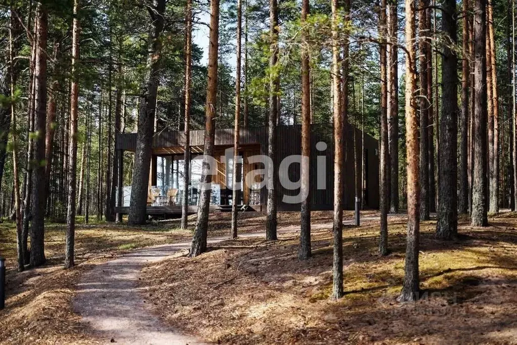 Участок в Красноярский край, Кедровый городской округ, Кедровый пгт  ... - Фото 1