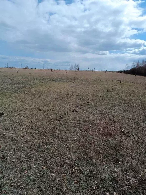 Участок в Саха (Якутия), Якутск городской округ, с. Тулагино  (10.52 ... - Фото 2