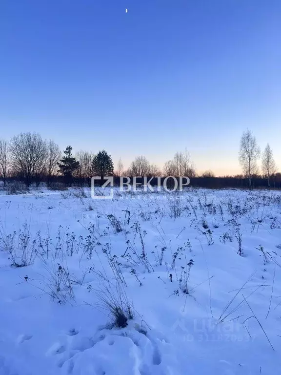 Участок в Костромская область, Нерехтский район, Пригородное с/пос, с. ... - Фото 1