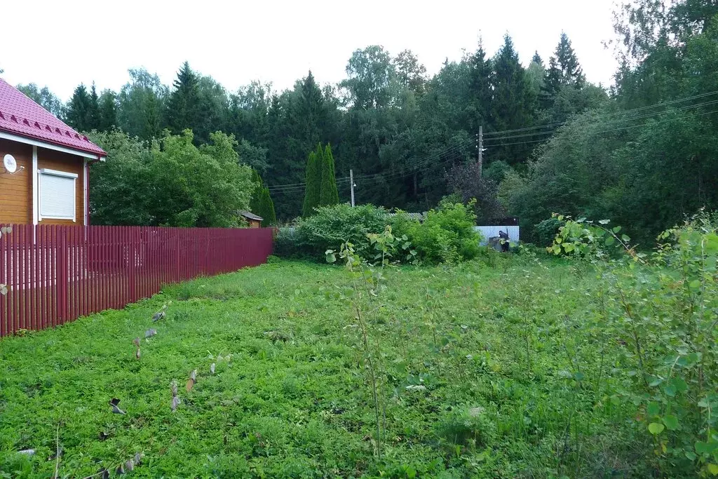 Участок в Наро-Фоминский городской округ, садовое товарищество Поиск ... - Фото 1
