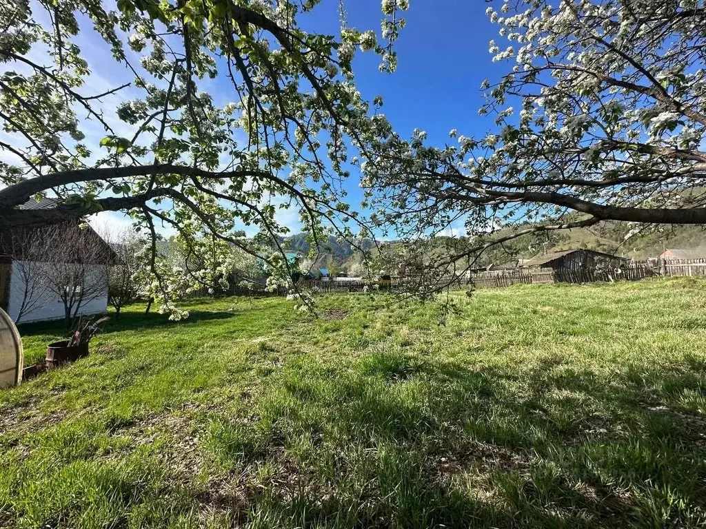 Участок в Алтай, Чемальский район, Элекмонарское с/пос, с. Элекмонар ... - Фото 1