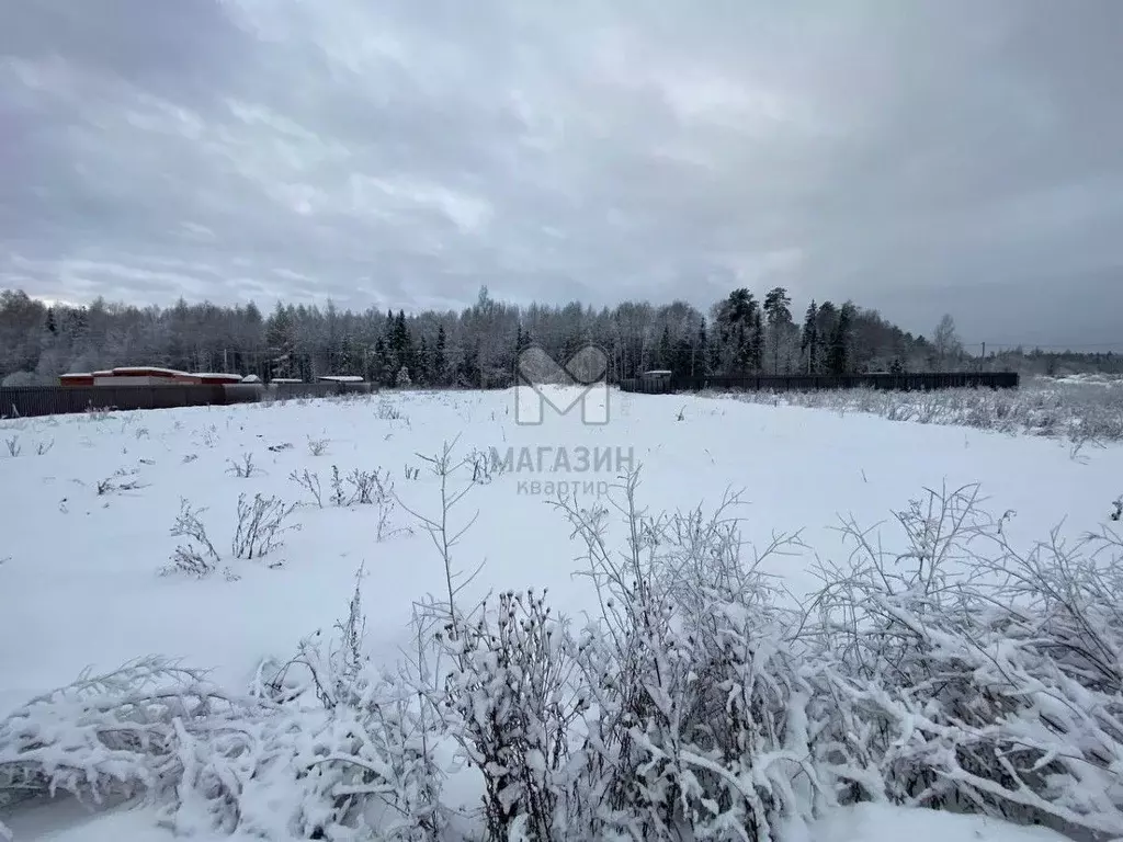 Участок в Московская область, Щелково городской округ, д. Маврино ул. ... - Фото 0