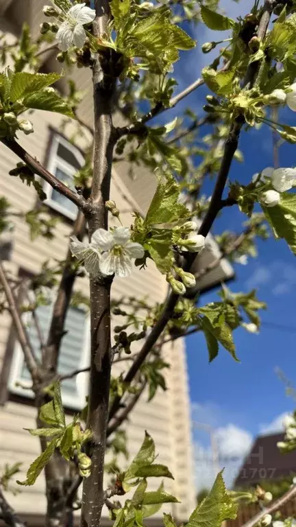 Дом в Московская область, Сергиево-Посадский городской округ, д. ... - Фото 2