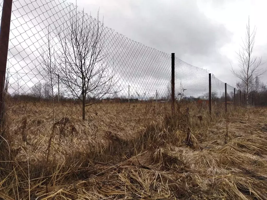 Участок в Калужская область, Перемышльский муниципальный округ, ... - Фото 1
