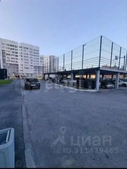 Студия Алтайский край, Барнаул тракт Павловский, 205А (27.0 м) - Фото 1