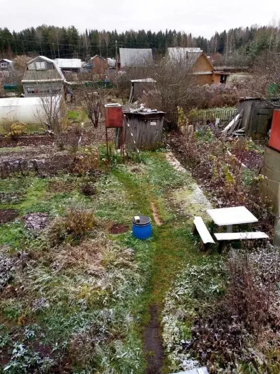 Участок в Кировская область, Кирово-Чепецк № 15 Мелиоратор СДТ,  (5.39 ... - Фото 2