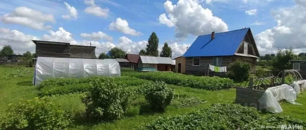 Дом в Кемеровская область, Мыски Узкоколейная ул., 30 (97 м) - Фото 1