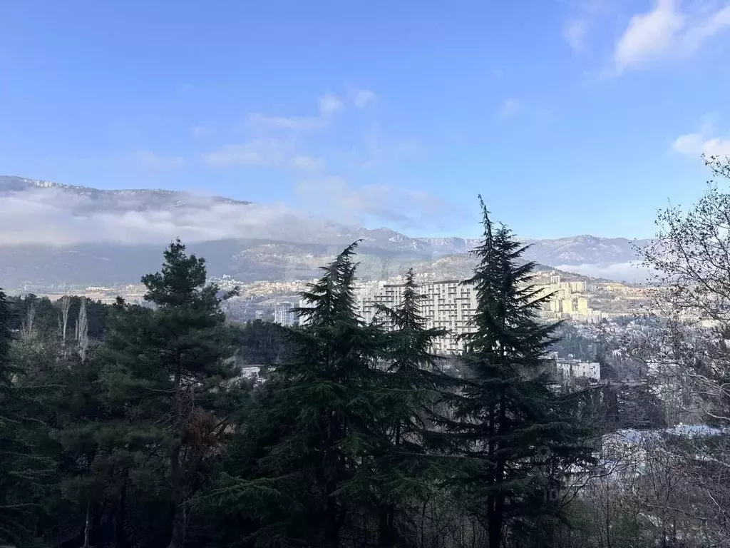 1-к кв. Крым, Ялта ул. Блюхера, 40А (30.0 м) - Фото 2