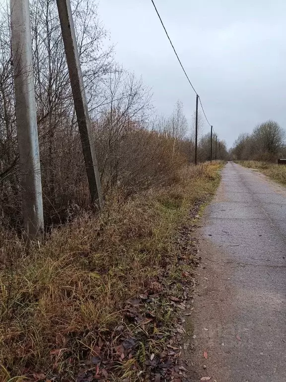 Участок в Новгородская область, Новгородский район, Савинское с/пос, ... - Фото 0