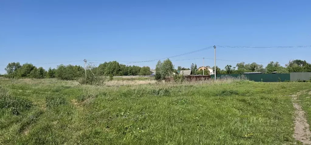 Участок в Московская область, Луховицы муниципальный округ, с. Ловцы  ... - Фото 1