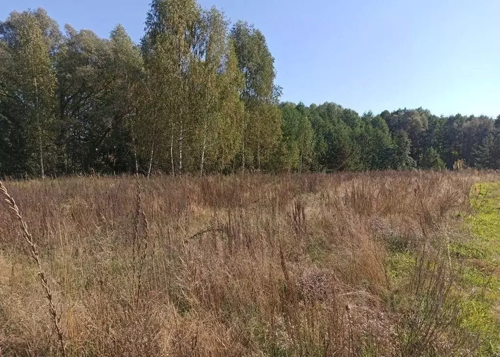 Участок в Татарстан, Зеленодольский район, Айшинское с/пос, с. ... - Фото 2