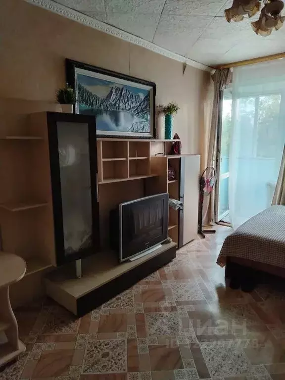 1-к кв. Амурская область, Белогорск ул. Кирова, 249/1 (15.0 м) - Фото 0