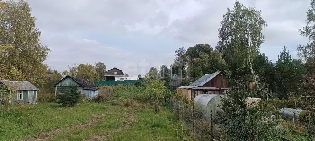 Участок в Вологодская область, Репка садоводческое товарищество  ... - Фото 1