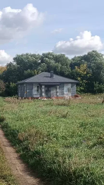 Дом в Татарстан, с. Пестрецы ул. Дальняя, 2 (108 м) - Фото 1